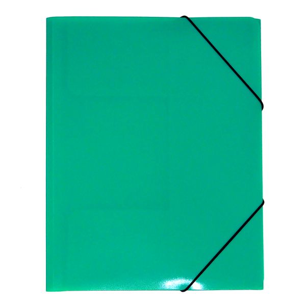Папка на резинках, А4, PP 450 мкм, "песок", Expert Complete Classic Lite_зеленая