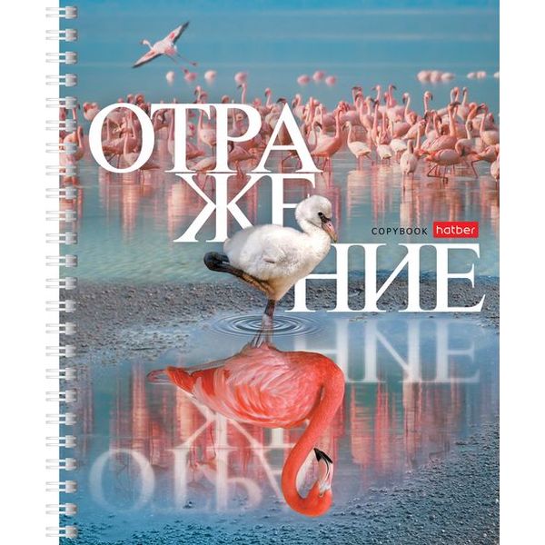 Тетрадь на гребне, 48 л., клетка, 60 г/м2, обл. мел. картон, Hatber Отражение_4 дизайна