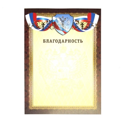 Благодарность, с госсимволикой, А4, 200 г/м2, цв. мел. бумага, тисн. фольгой. Премиум Благодарность, с госсимволикой, А4, 200 г/м2, цв. мел. бумага, тисн. фольгой. Премиум