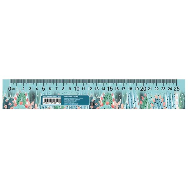 Закладка-линейка пластиковая, 40*270 мм, ПЧЕЛКА Акварельные кактусы Закладка-линейка пластиковая, 40*270 мм, ПЧЕЛКА Акварельные кактусы