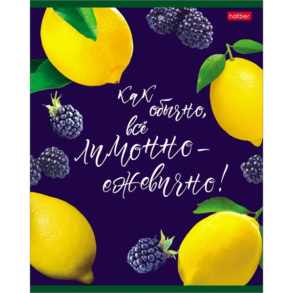 Тетрадь А5, клетка, 48 л., на скобе, 60 г/м², Hatber Вкусно как обычно! (акционный товар)