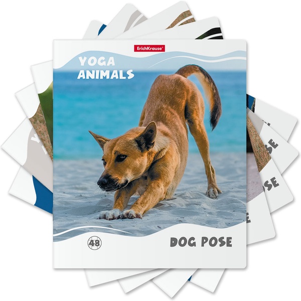 Тетрадь А5, клетка, 48 л., на скобе, 60 г/м², мат. лам., ErichKrause Yoga Style_MIX-PACK