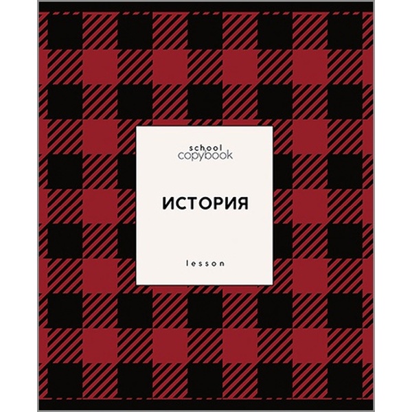Тетрадь предметная 48 л., клетка, 60 г/м², обл. мел. картон, КТС-ПРО Яркая клетка_История
