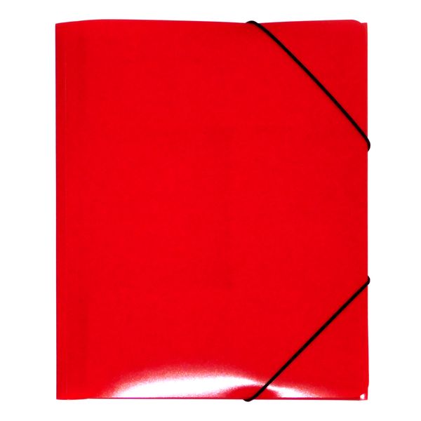 Папка на резинках, А4, PP 450 мкм, "песок", Expert Complete Classic Lite_красная Папка на резинках, А4, PP 450 мкм, "песок", Expert Complete Classic Lite_красная