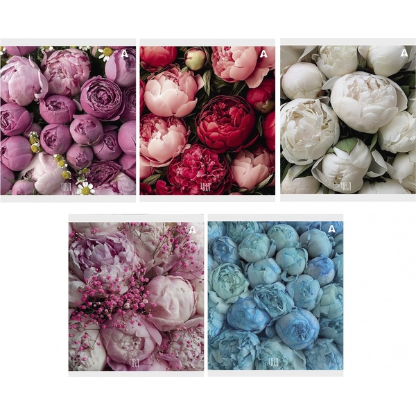 Тетрадь А5, клетка, 48 л., на скобе, 60 г/м², Alingar Нежные цветы_5 дизайнов