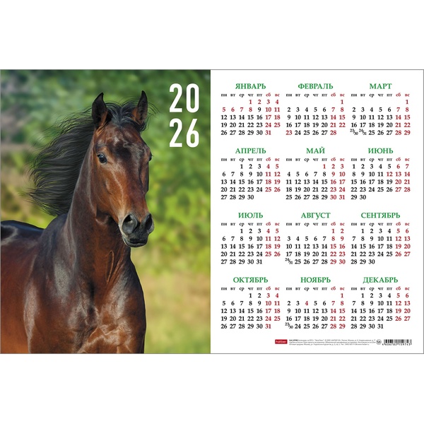 Календарь настенный листовой 2026 г. 435*290 мм. Год Лошади Календарь настенный листовой 2026 г. 435*290 мм. Год Лошади