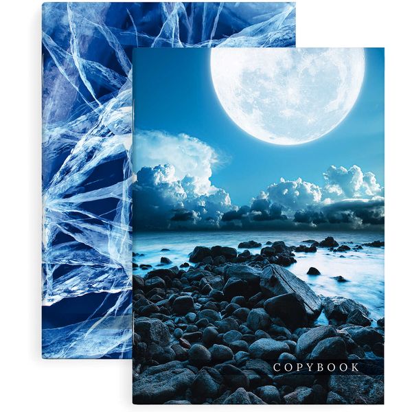 Тетрадь А4, клетка, 80 л., на скобе, 65 г/м², 2-ая обложка, уф-лак, ФЕНИКС+ Стихия