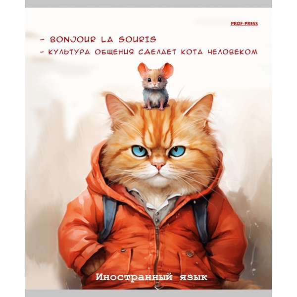 Тетрадь предметная 48 л., клетка, 60 г/м?, обл. мел. картон, Prof-Press Жил был кот_Иностранный язык