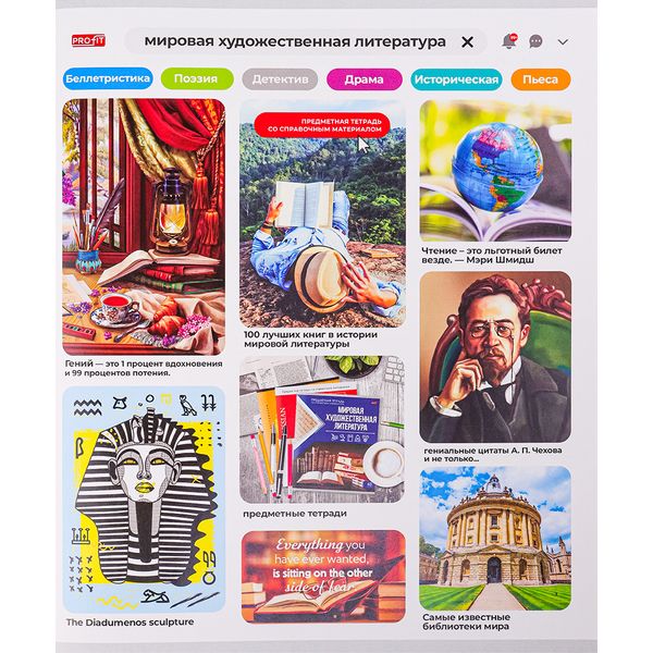 Тетрадь предметная А5, 48 л., клетка, 60 г/м², мел. облож., Profit Личный профиль_Мировая художественная литература