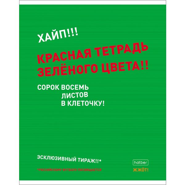 Тетрадь 48 л., клетка, 60 г/м2, обл. мел. картон, Hatber Агонь_5 дизайнов