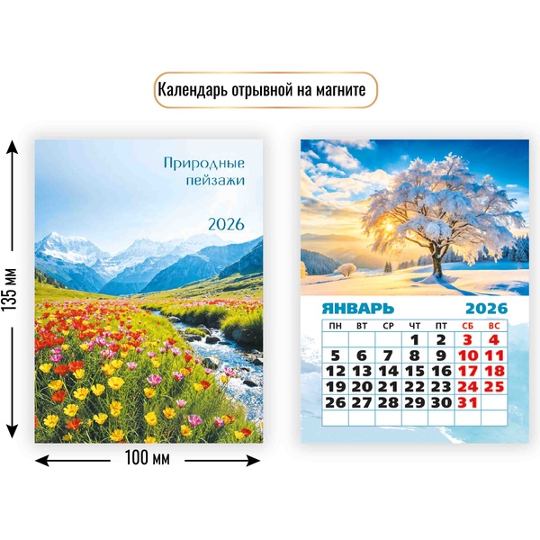 Календарь настенный отрывной 2026 г. Природа: 100*135 мм, магнит. основа