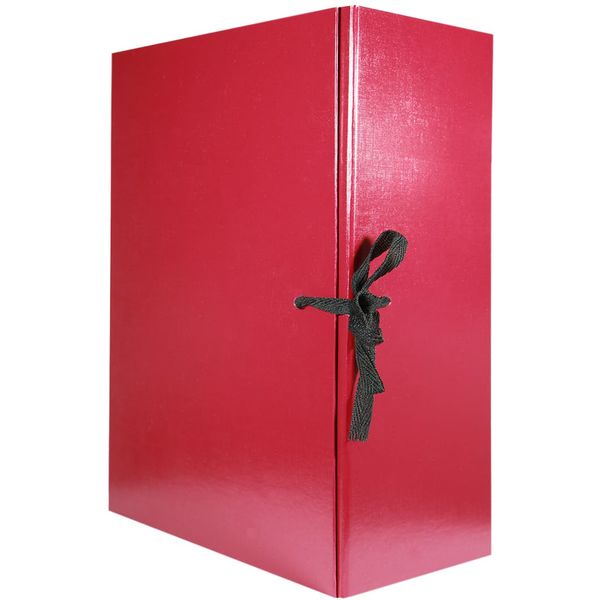 Папка архивная А4, бумвинил, 2 завязки, 120 мм (1200 л.), разборная, бордовая, ИМИДЖ