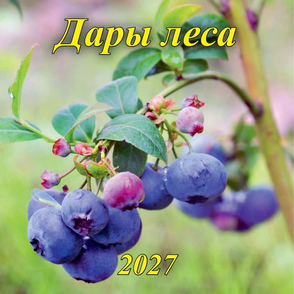 Календарь настенный перекидной 2027 г. (квартальный моно) Дары леса, 285*285-570 мм, скоба