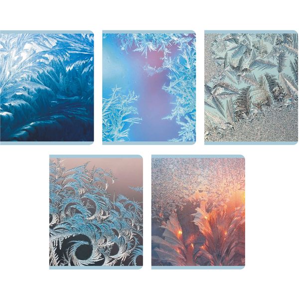 Тетрадь 48 л., клетка, 60 г/м², Glitter лам., Listoff Морозные узоры_5 дизайнов