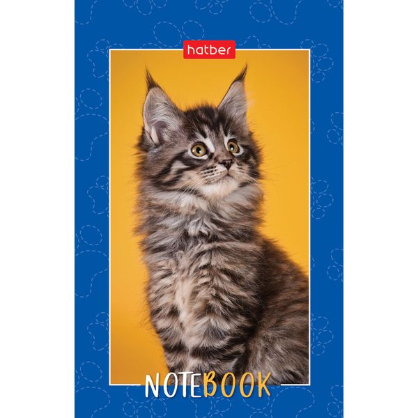 Блокнот на склейке А7, 48 л., клетка, 60 г/м² (3-цв. блок), Hatber Пушистые лапки_5 дизайнов