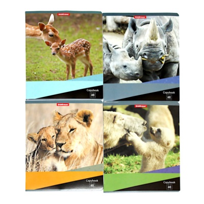 Тетрадь А5, клетка, 48 л., на скобе, 60 г/м², ErichKrause Идиллия_5 дизайнов