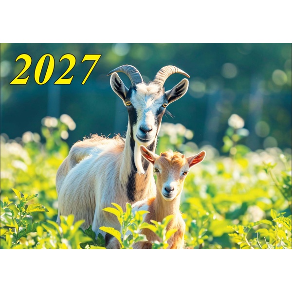 Календарь настенный листовой 2027 г. Символ года, А3 (картон)
