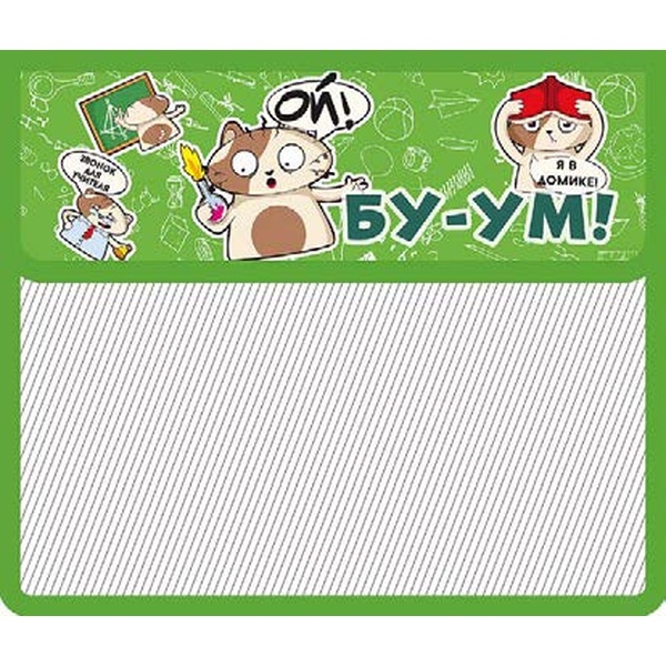 Папка А5 на липучке, 1 отд., PP, "диагональ", прозр., цв. клапан, ПЧЕЛКА Котоучение