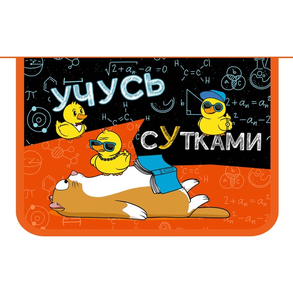 Папка А4 на молнии, 1 отд., PP/картон, прозр./непрозр., печ. 1-ст., ПЧЕЛКА Учусь сУтками