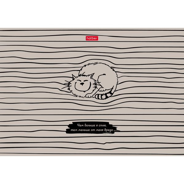 Тетрадь А5, линия, 48 л., на скобе, 70 г/м², мат. лам., выб. лак, Hatber COOL-Cat (акционный товар)