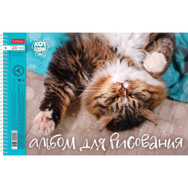 Альбом для рисования А4, 24 л., спираль, 100 г/м², отр. перф., уф-лак, Hatber Кот Борис_5 дизайнов