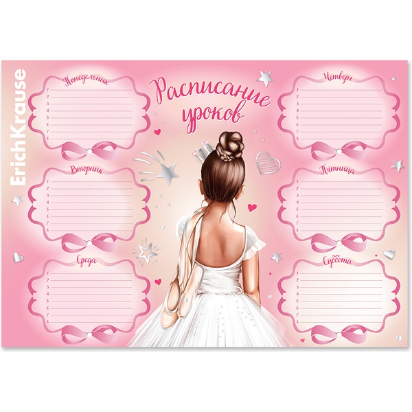 Расписание уроков А4, мел. картон 170 г/м2, ErichKrause Pointes