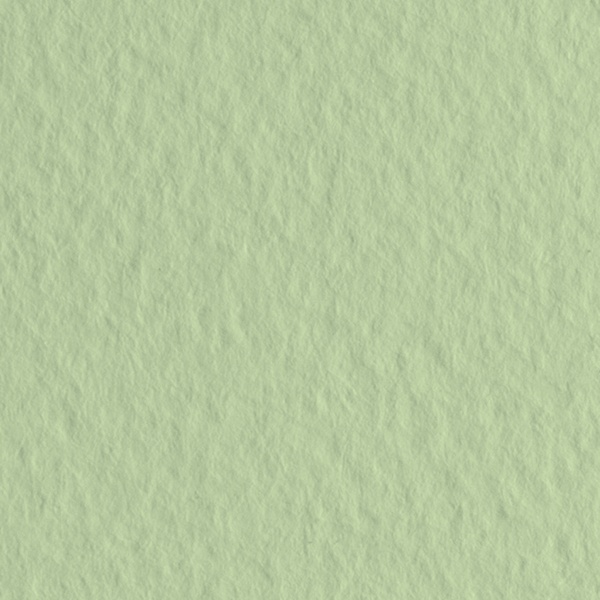 Бумага для пастели 50*65 см (1 л.), 160 г/м2, цвет: Verduzzo/Светло-зеленый, FABRIANO Tiziano