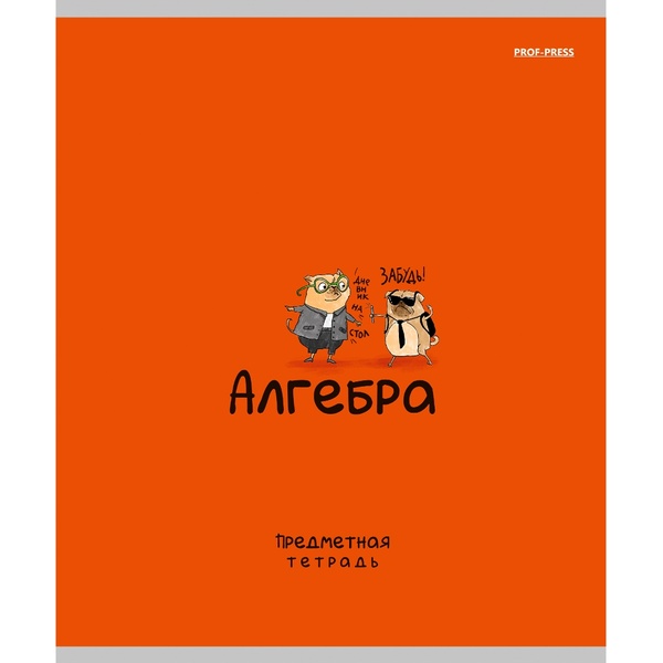 Тетрадь предметная А5, 48 л., клетка, 60 г/м², тисн. "лен", Prof-Press Mini Friends_Алгебра